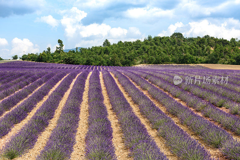 瓦伦索，Roumoules, Germany-en-Provence，诗歌诗人